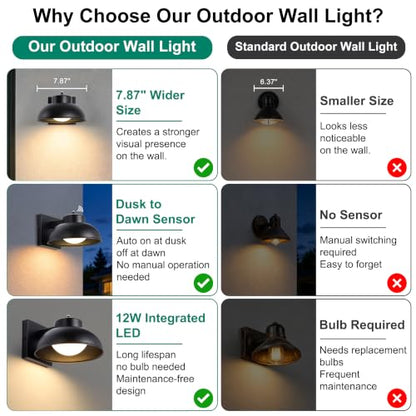 Black Exterior Light Fixtures (2 Count)