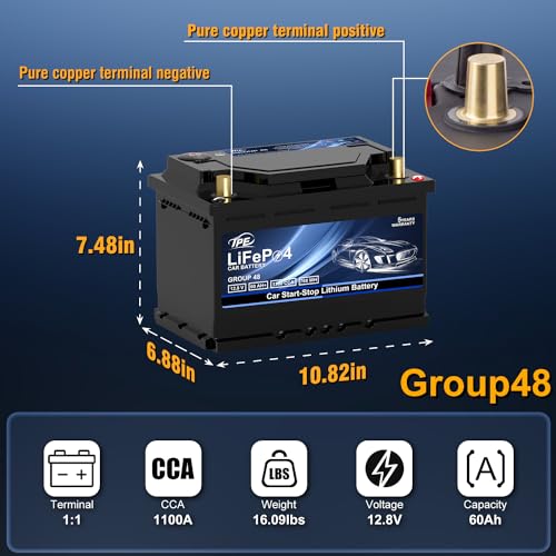 Group48 LiFePO4 Lithium
