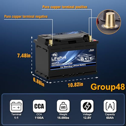 Group48 LiFePO4 Lithium