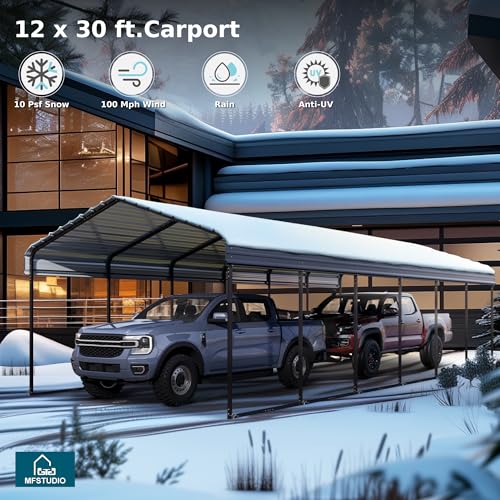 Metal Carport 12x30ft