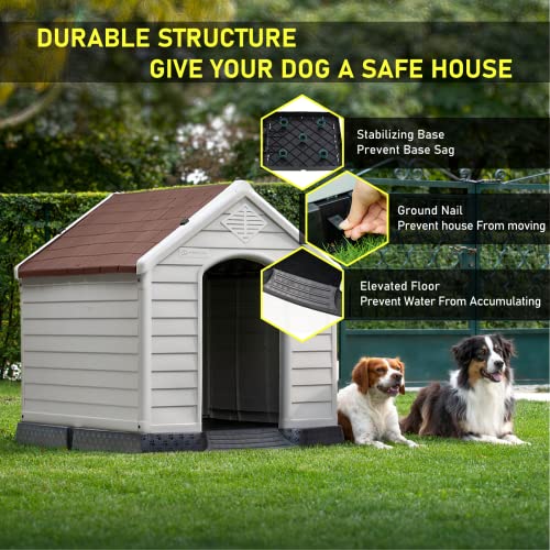 Large Dog House