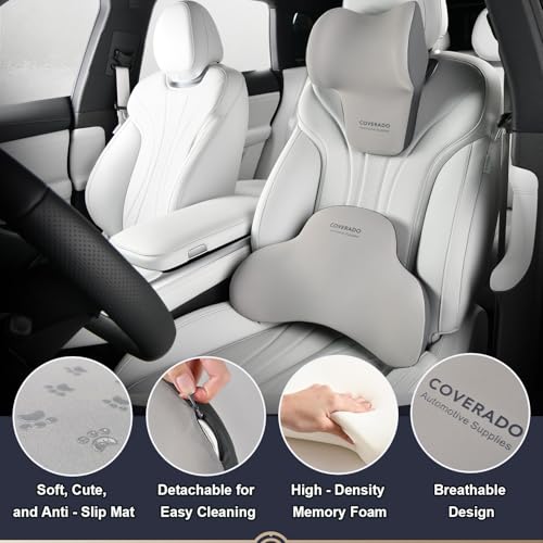 Lumbar Support Pillow and Car Neck Pillow (2 Count)