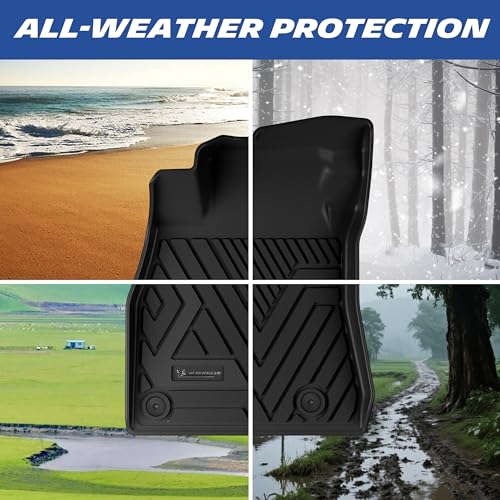 Vehicle Mats for 2020