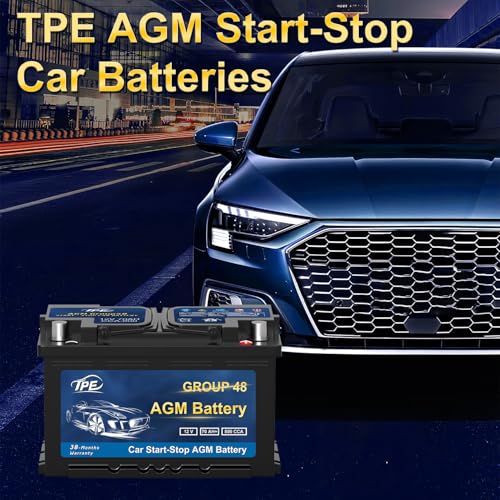 AGM Battery BCI Group 48