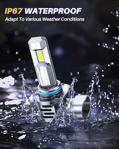 9005 HB3 9006 (4 Count)