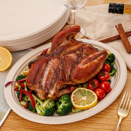 100% Compostable Oval Paper Plates 12 Inch 125 (125 Count)