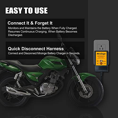 Smart Battery Charger