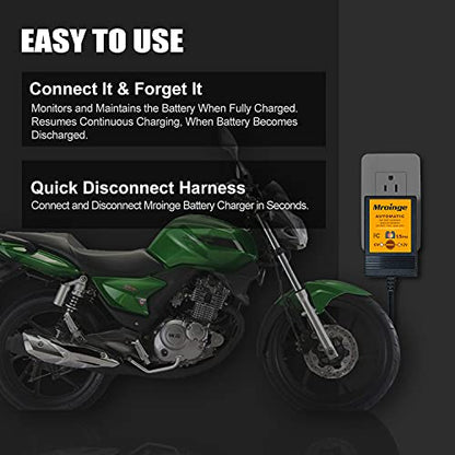 Smart Battery Charger