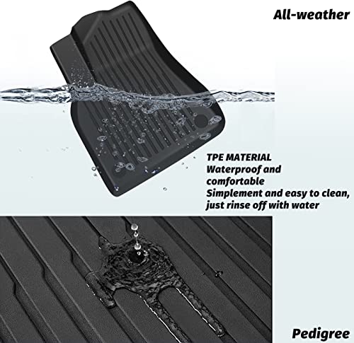 Floor Mats Compatible with Tesla Model 3