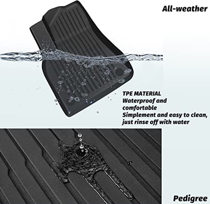 Floor Mats Compatible with Tesla Model 3