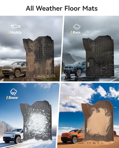 Floor Mats for 2024
