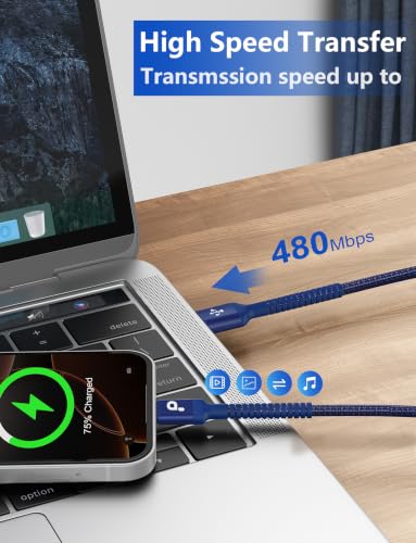 USB to USB C Cable 3A Fast Charging