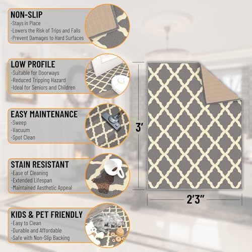 2x3 Indoor Door Mat