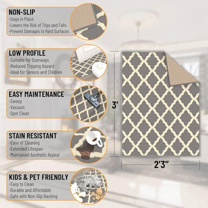 2x3 Indoor Door Mat