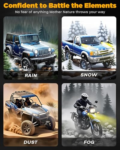 Color Play Series 3 (2 Count)