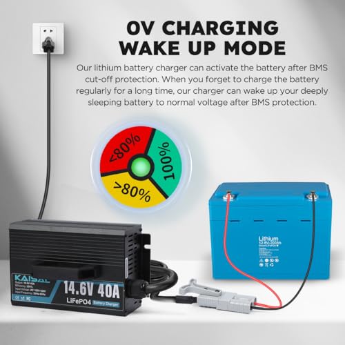 12V 40A Lithium Battery Charger 14.6V LiFePO4 Battery Charger for 12.8V LiFePO4 Lithium Deep Cycle Rechargeable Batteries 0V Wake Up 12 Volt Charger with 3 Connectors for RV
