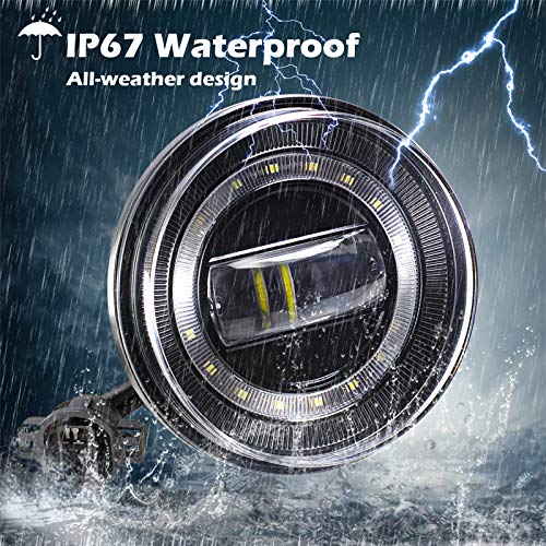 LED Fog Lights (2 Count)