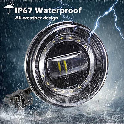 LED Fog Lights (2 Count)