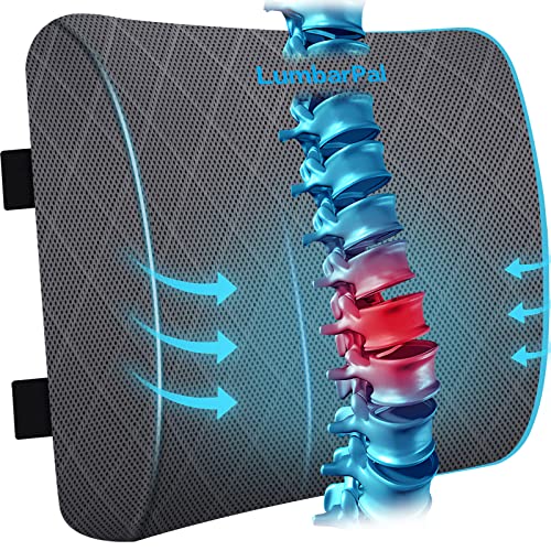 Lumbar Support Pillow for Office Chair