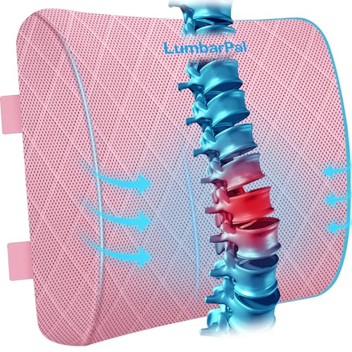 Lumbar Support Pillow for Office Chair