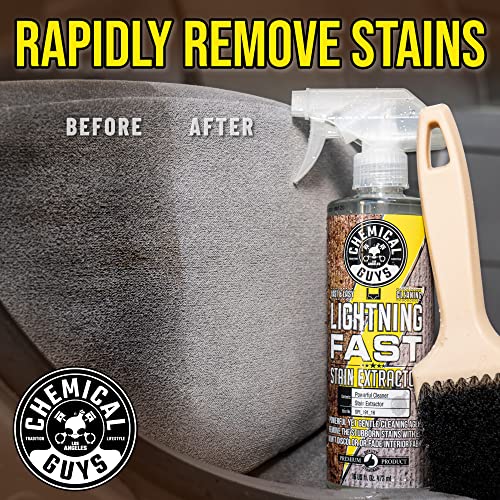 Lightning Fast Carpet & Upholstery Stain Extractor (16 Fl Oz)