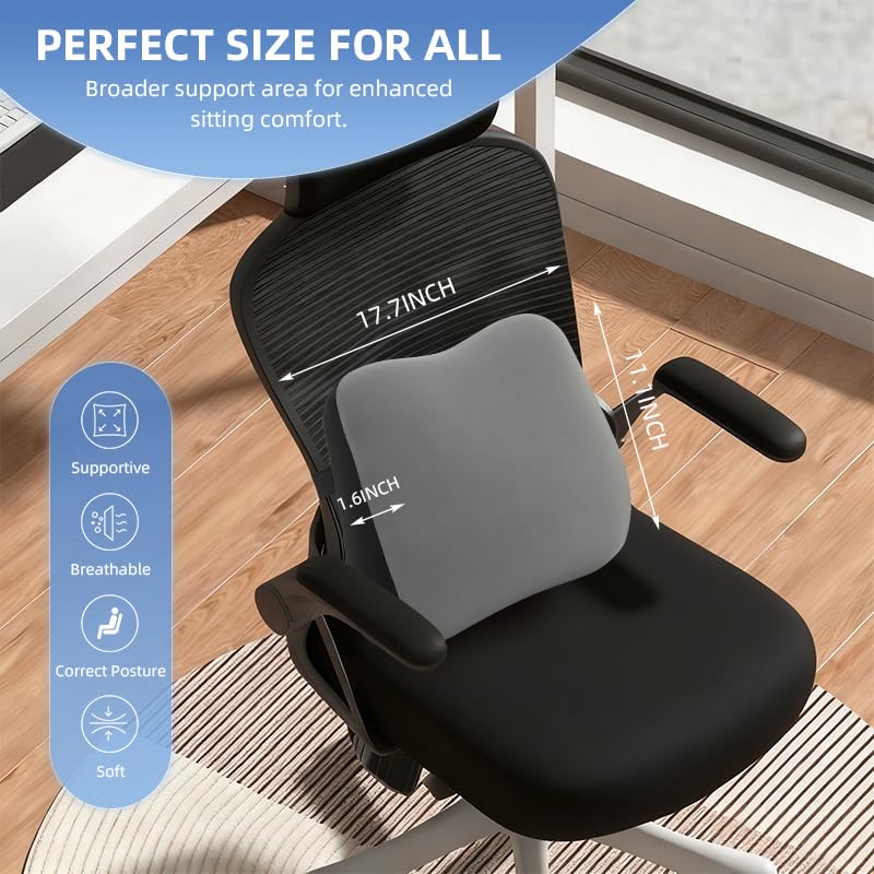 Lumbar Support Pillow for Office Chair