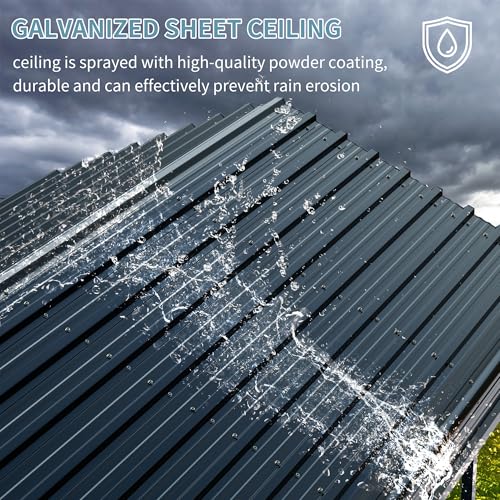 12x20 FT Metal Carport