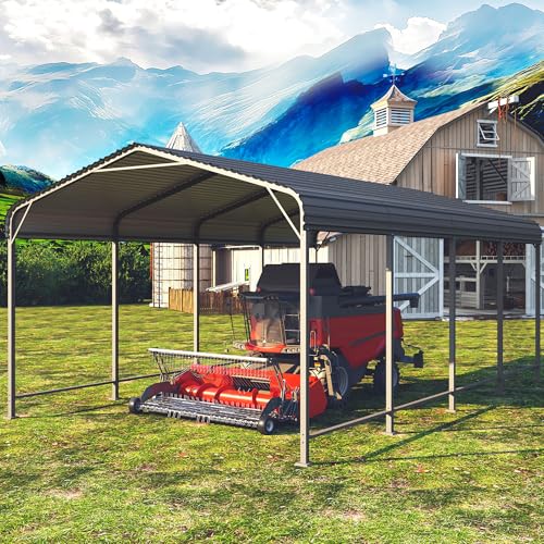 Metal Carport 12x20FT
