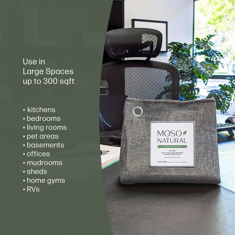 Air Purifying Bag 600g (2 Count)