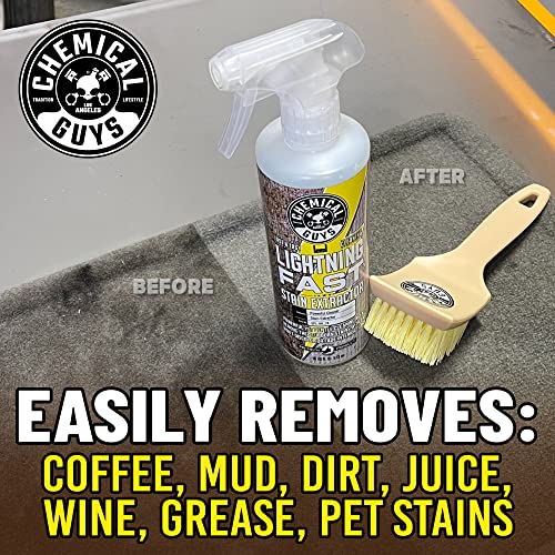Lightning Fast Carpet & Upholstery Stain Extractor (128 Fl Oz)