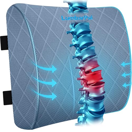 Lumbar Support Pillow for Office Chair