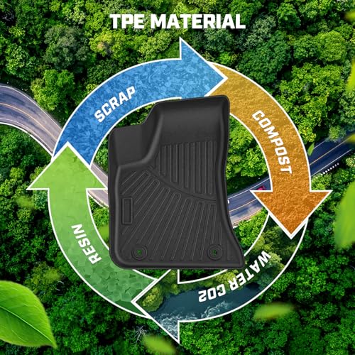 Floor Mat & Cargo Liner for 2011