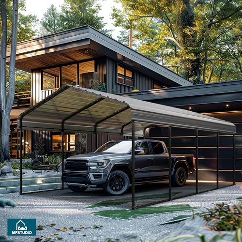 Metal Carport 12x20ft