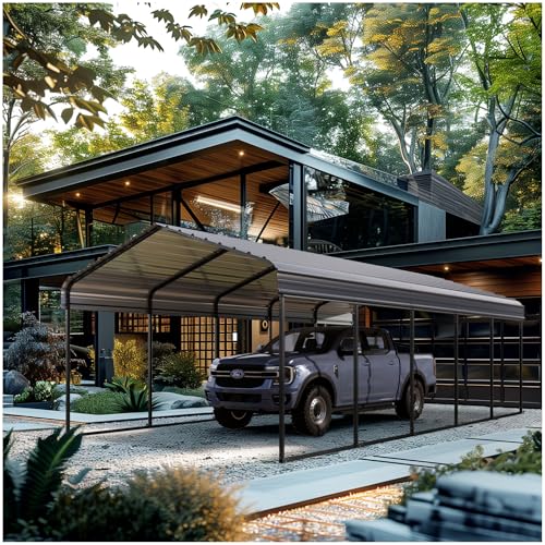 Metal Carport 12x25ft