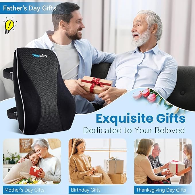Lumbar Support Pillow for Office Chair Car