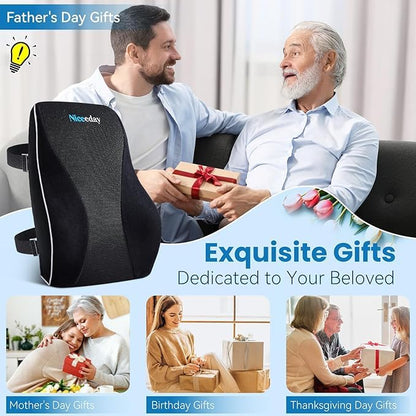 Lumbar Support Pillow for Office Chair Car