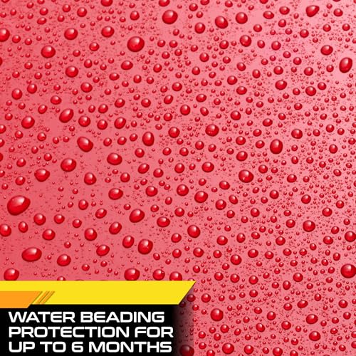 Carnauba Car Wax Paste (12 Fl Oz)