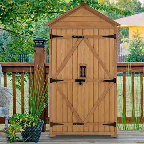 Outdoor Storage Cabinet with 2 Shelves