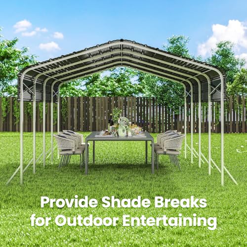 12x20' Heavy Duty Metal Carport
