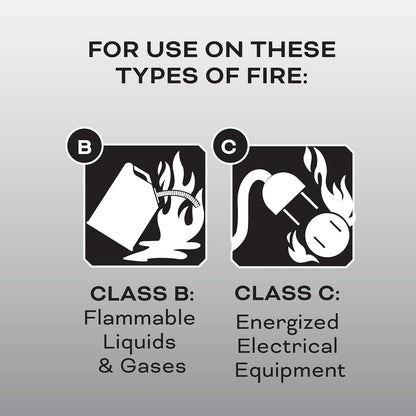 Kidde Auto Fire Extinguisher for Car & Truck, 5-B:C, 3.2 Lbs., Dry Chemical Extinguisher & Kitchen Fire Extinguisher, Home Use for Grease Fires, 3.9 Lbs., Wall Mount Included, White