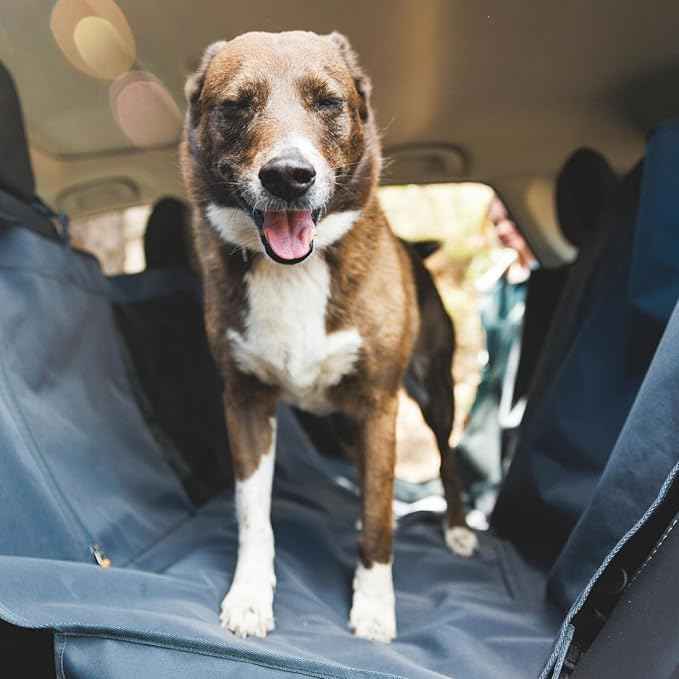Ruffwear, Dirtbag Dog Car Seat Cover, 300D Heavy Duty Waterproof Scratch Proof Nonslip Hammock or Bench, Durable Machine Washable, Back Seat Protector for Cars, SUVs & Trucks, Basalt Gray