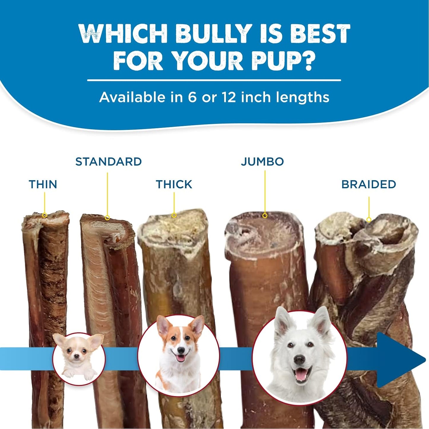 Best Bully Sticks 12 Inch Bully Sticks for Dogs - 3 Count (Pack of 1) - Natural, Easily Digestible, 100% Grass-Fed Beef, Grain and Rawhide Free - Trial Size