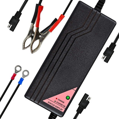 ExpertPower 12.8V 5A Smart Charger for Lithium LiFePO4 Deep Cycle Rechargeable Batteries