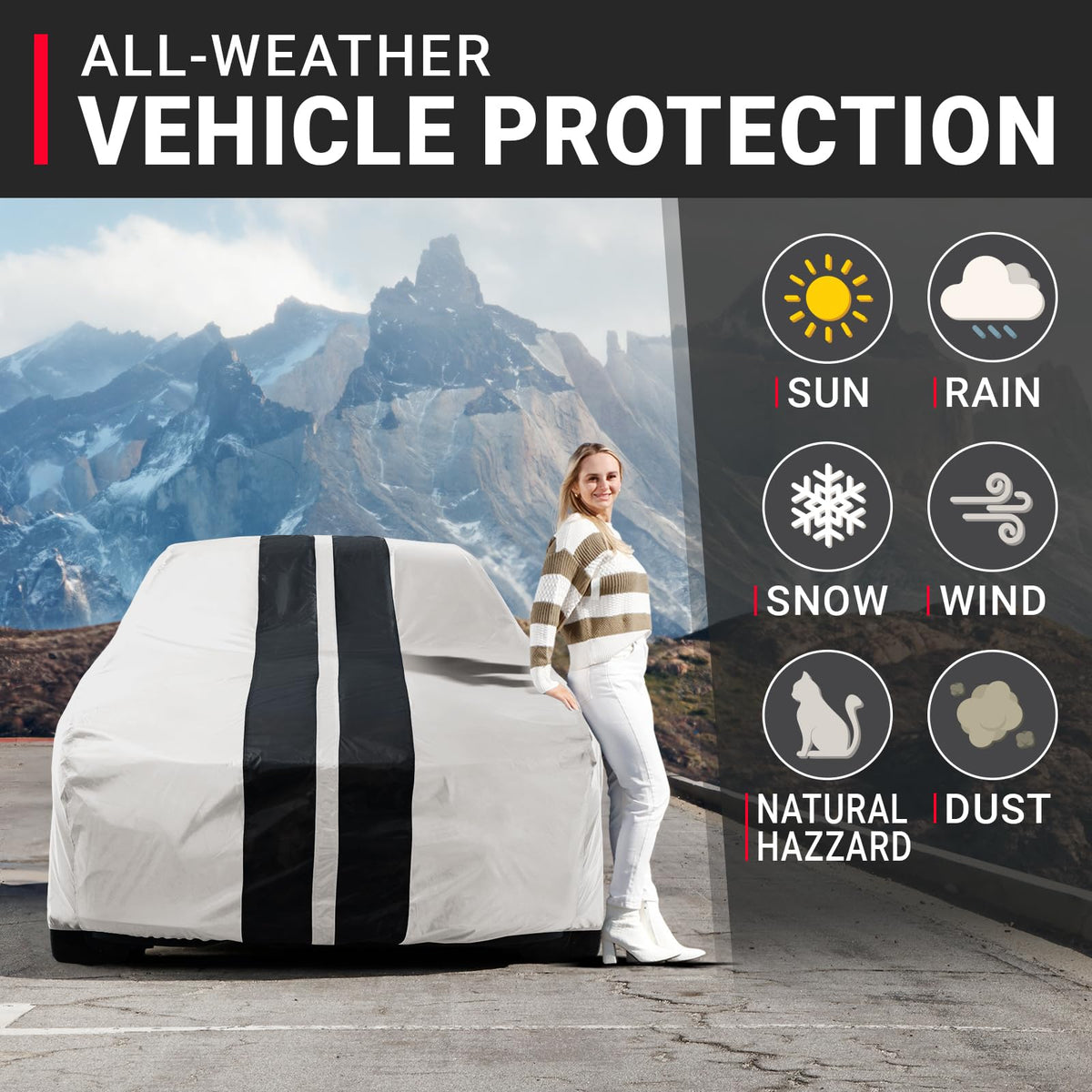 Car Cover Waterproof All Weather for 1978 (Light Gray / Black (Stripe) / 50. LeMans 1978-1981)