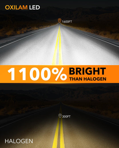 H11B LED Light Bulb (H11B)