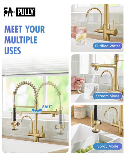 3 Way Kitchen Faucets with Sprayer and Water Filter Brushed Gold (Brushed Gold)