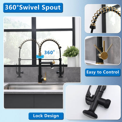 LED Kitchen Faucet with Pull Down Sprayer (Black&Gold)