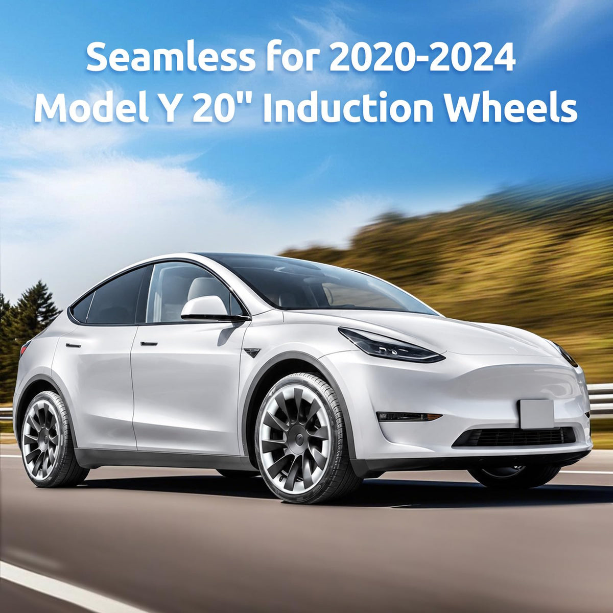 Wheel Rim Protector for Tesla Model Y 20 Inch Induction Wheels All (Silver / 2020-2024 Model Y 20in)