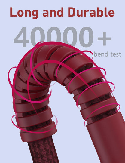 USB C to C Cable 10FT (10FT / USB C to USB C / Red)